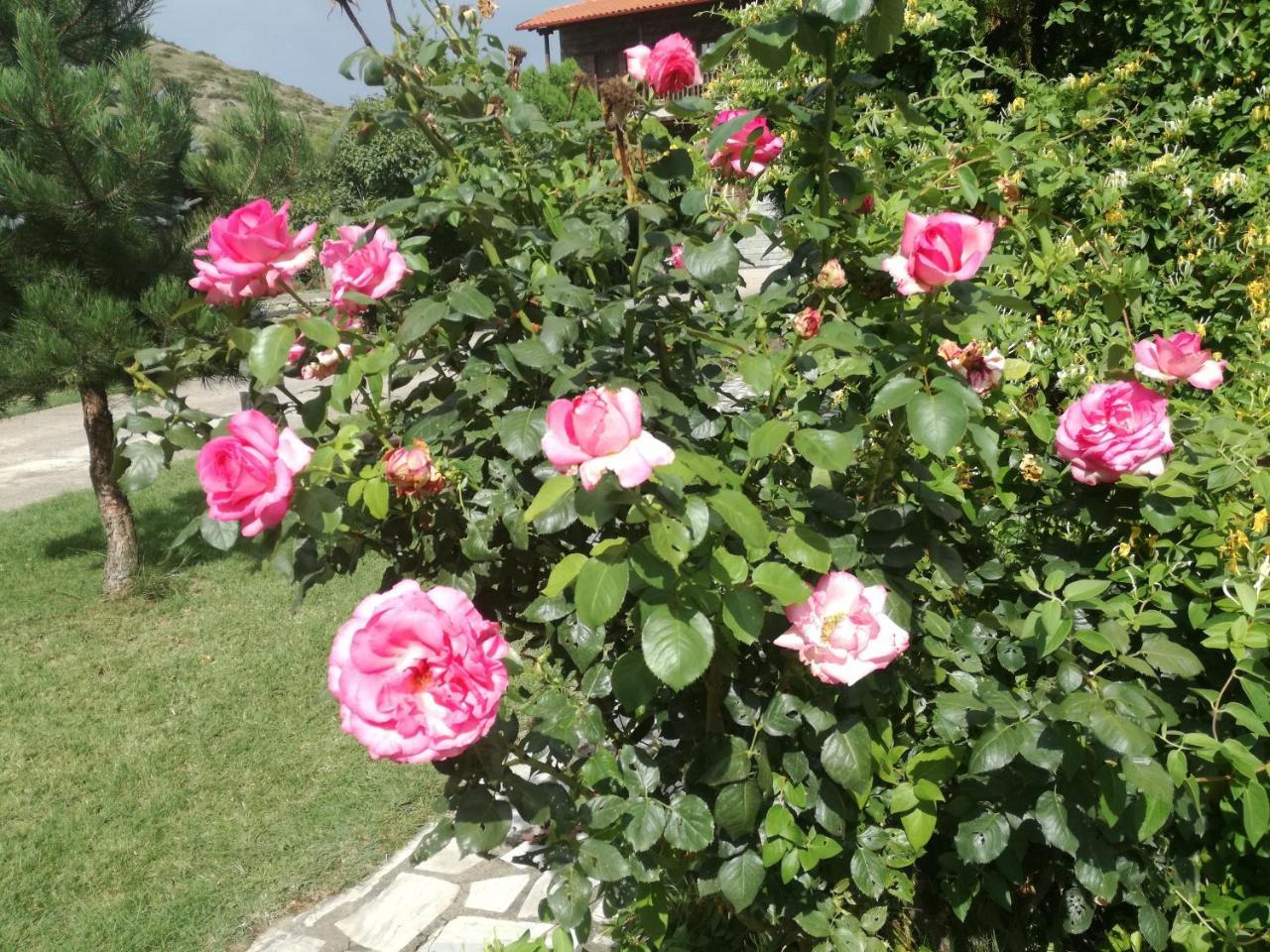 Prespa Resort & Spa Platy  Eksteriør billede