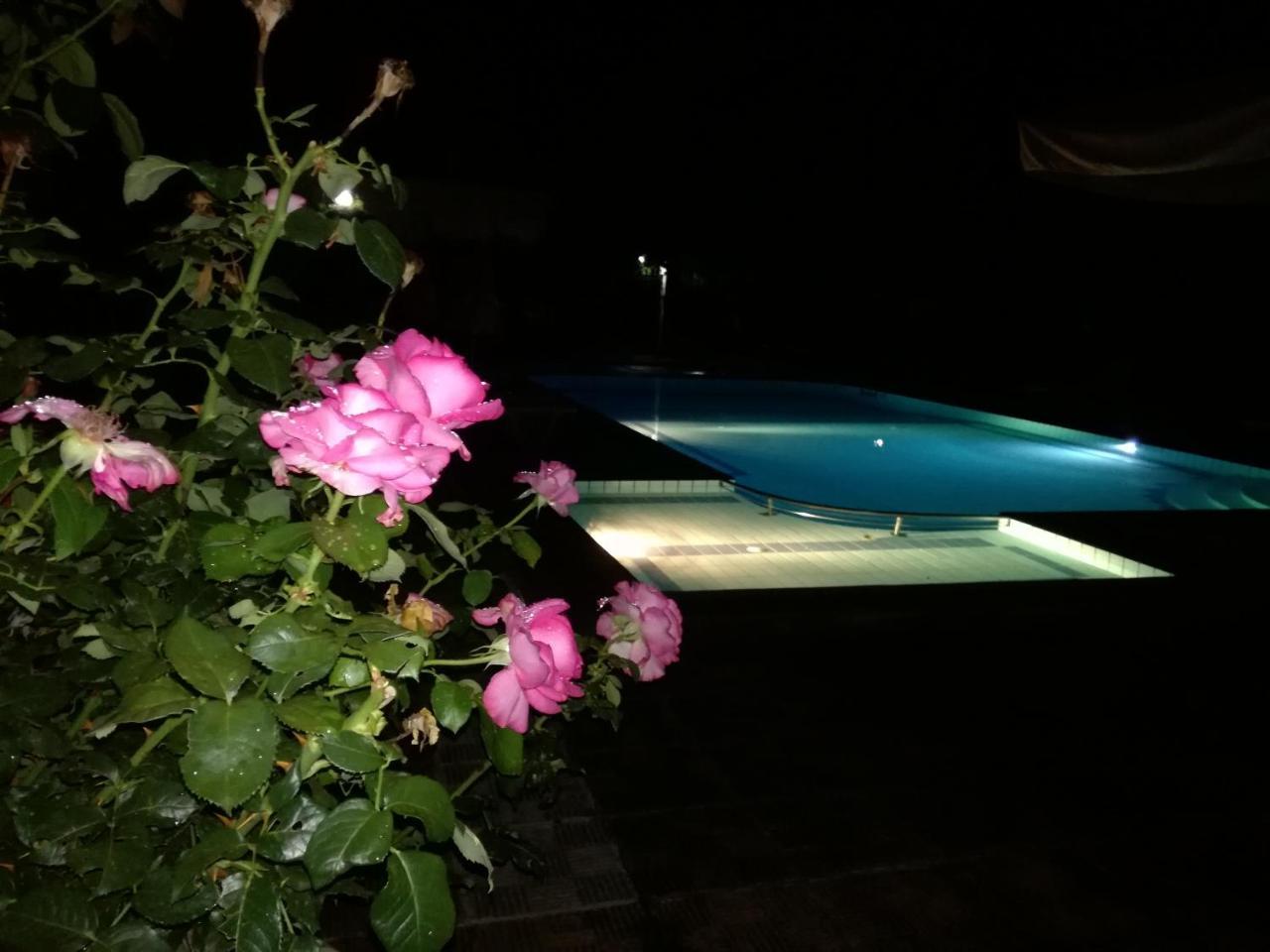 Prespa Resort & Spa Platy  Eksteriør billede